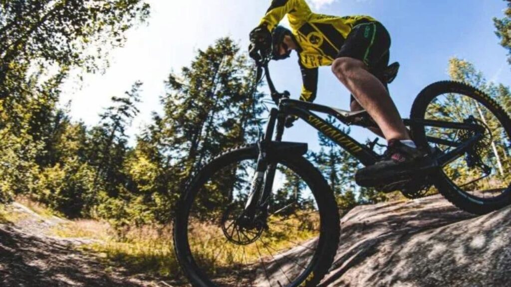 Mountain Bike Stocks List 2025: Best Publicly Traded Companies