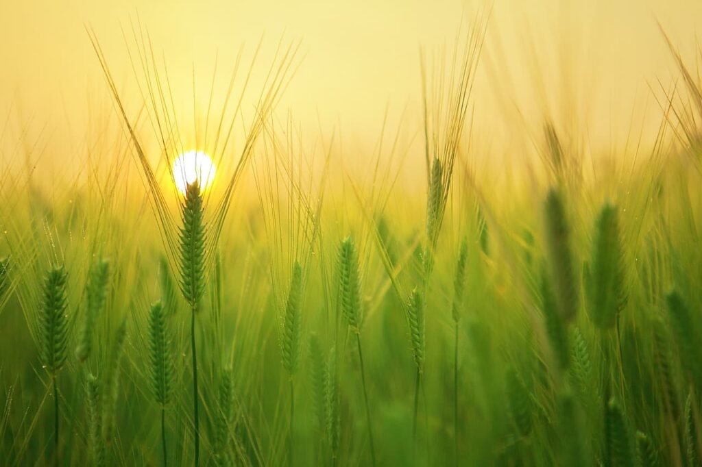 Cargill Stock Price and Symbol 2025: Are They Public?